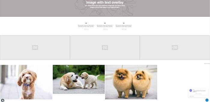 Example of an image gallery on Shopify