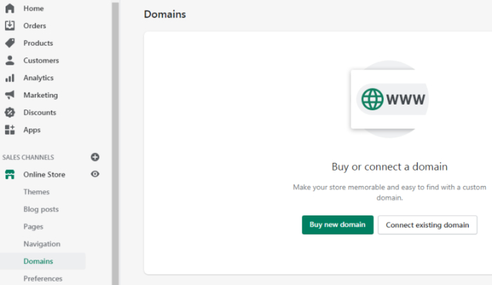 how to setup a domain name with shopify