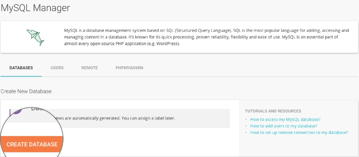 mysql database in siteground