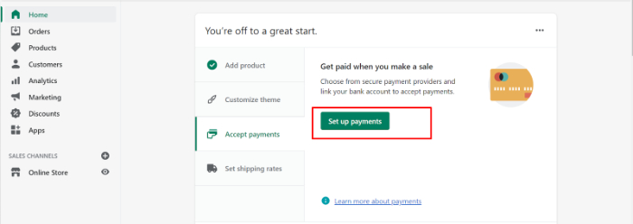 set payment methods for shopify