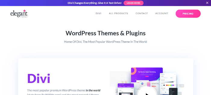 divi landing page