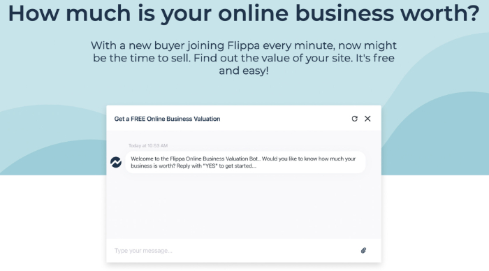 calculate worth of your business on flippa