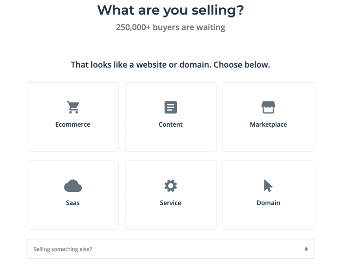 select what you are selling