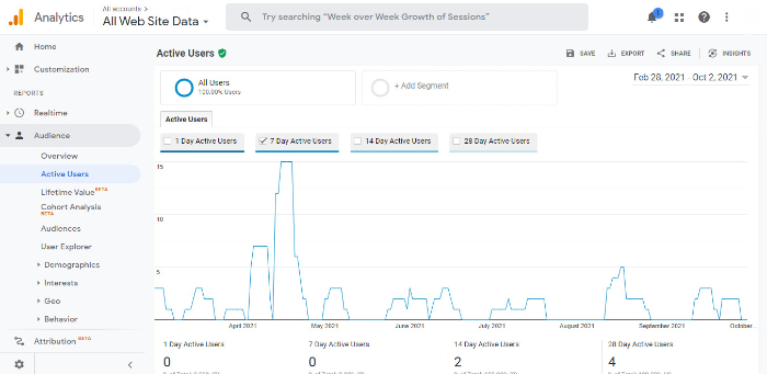 audience tab of google analytics