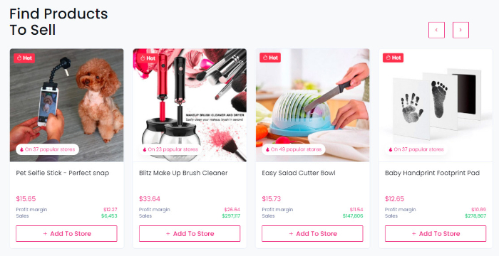 find products to sell on sell the trend dropshipping tool