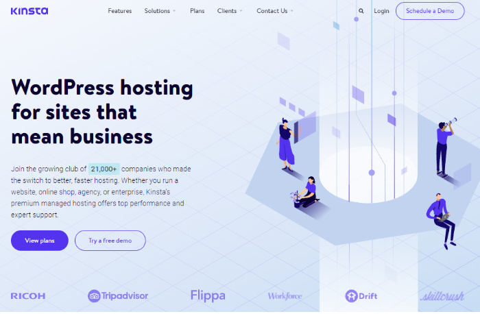 leverage a wordpress dedicated hosting like kinsta