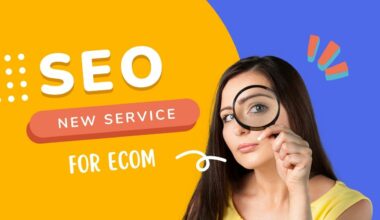 seo and sem service for ecommerce stores service into